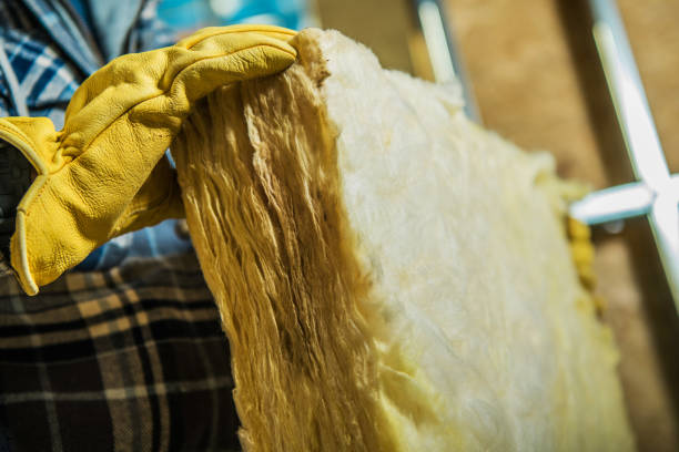 Best Fiberglass Insulation  in Eminence, KY