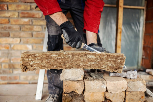 Best Cellulose Insulation  in Eminence, KY